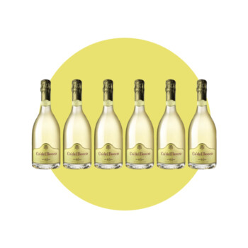 Ca' del Bosco, Franciacorta Cuvée Prestige Edizione 48 Extra brut, 750 ml – Box 6 Bottiglie