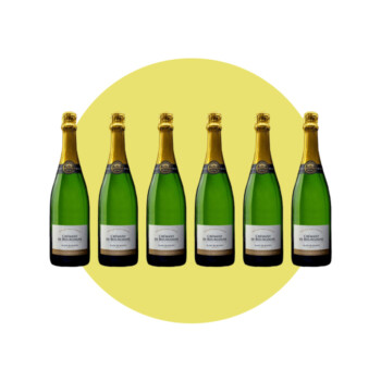 Terres Secrètes, Crémant de Bourgogne Brut, 750 ml – Box 6 Bottiglie