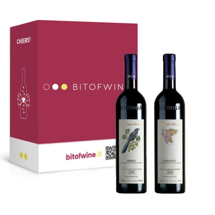 Marziano Abbona, Barolo 2021 e Barbaresco 2020, 750 ml - Box 2 Bottiglie