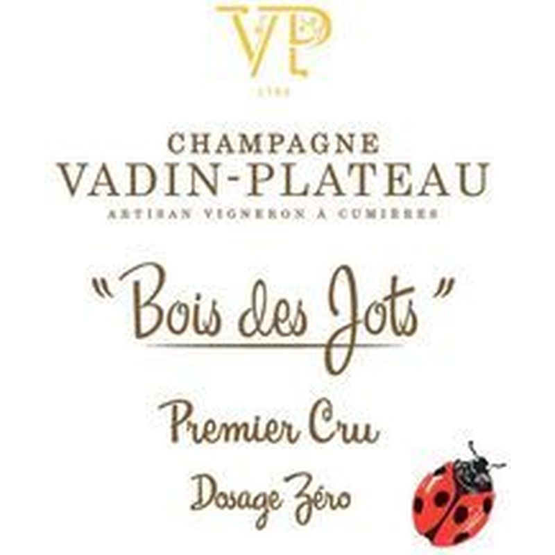 Vadin-Plateau, Bois des Jots Dosage Zéro 1er Cru 2019, 750 ml - immagine 2
